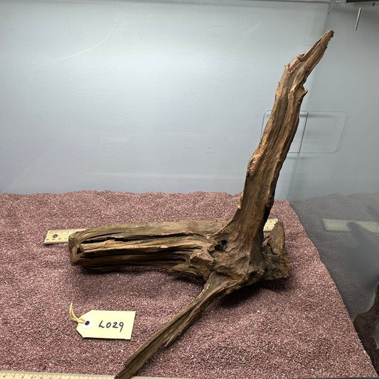 Driftwood (Large)
