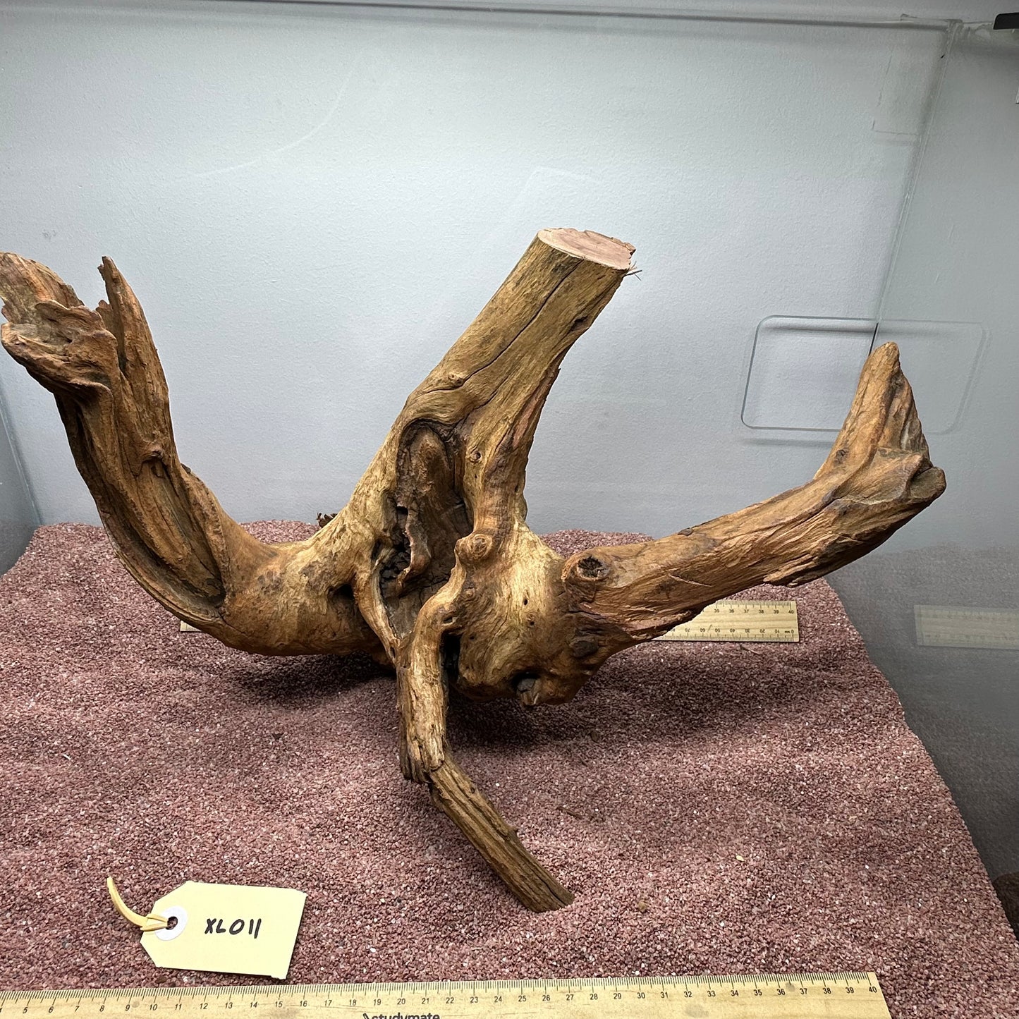Driftwood (X Large)