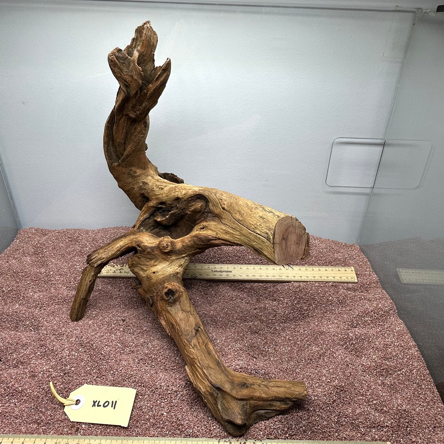 Driftwood (X Large)