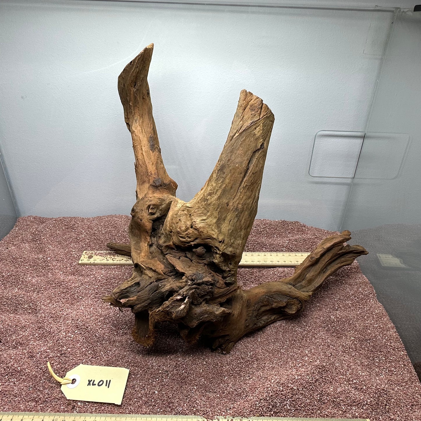 Driftwood (X Large)