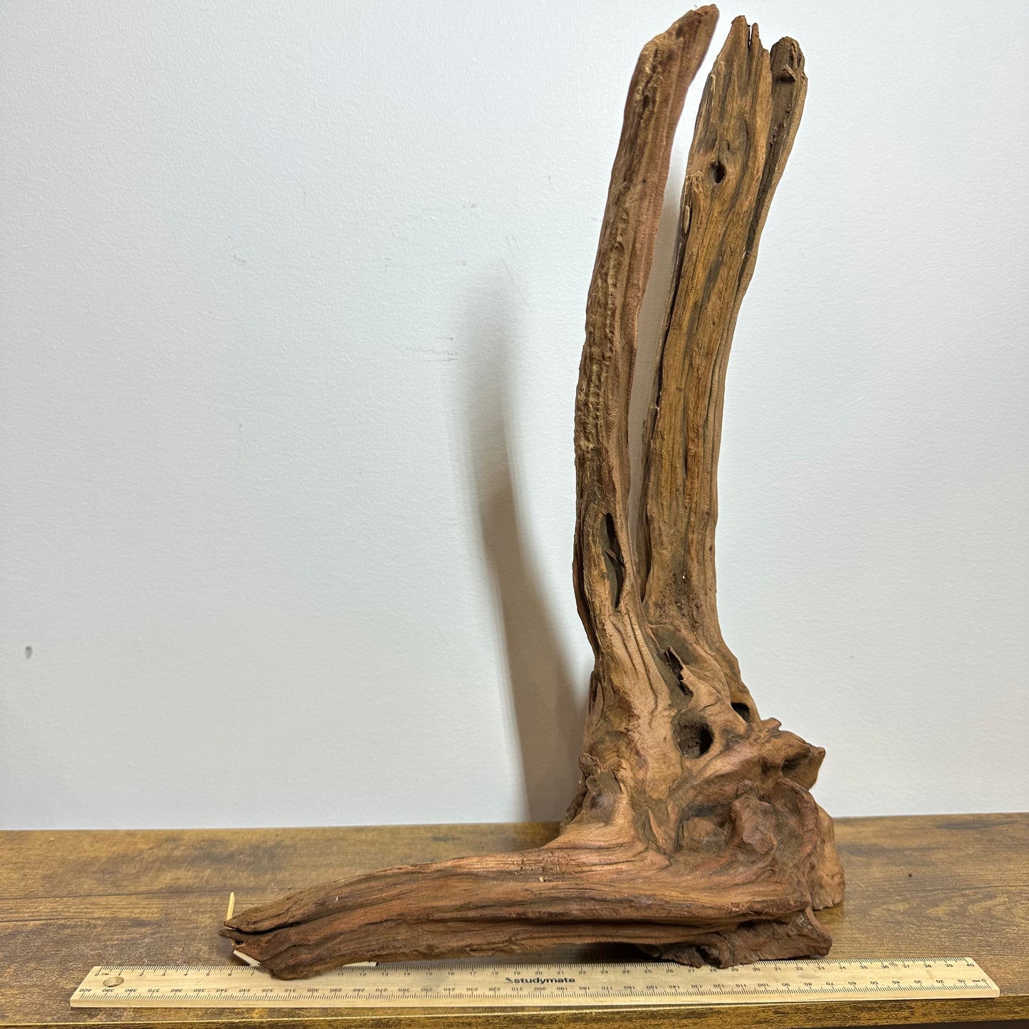 Driftwood (XX Large)