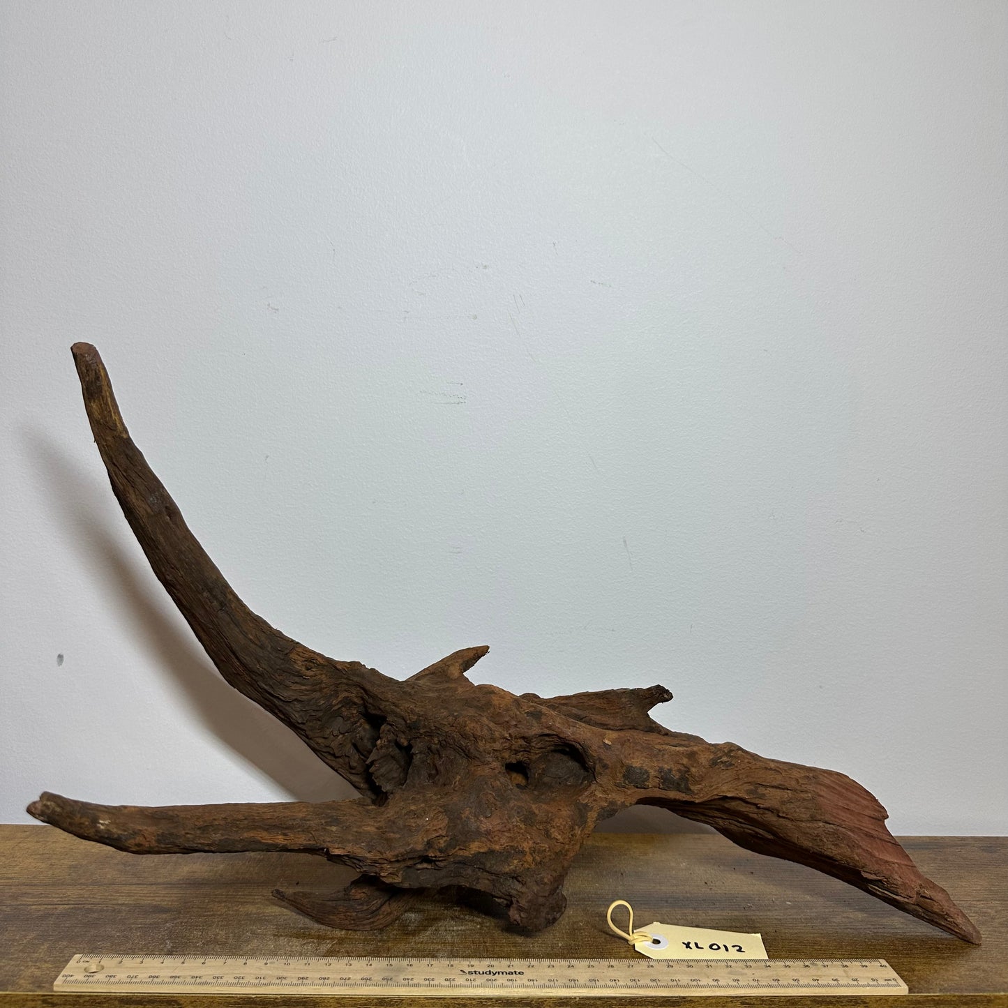 Driftwood (X Large)