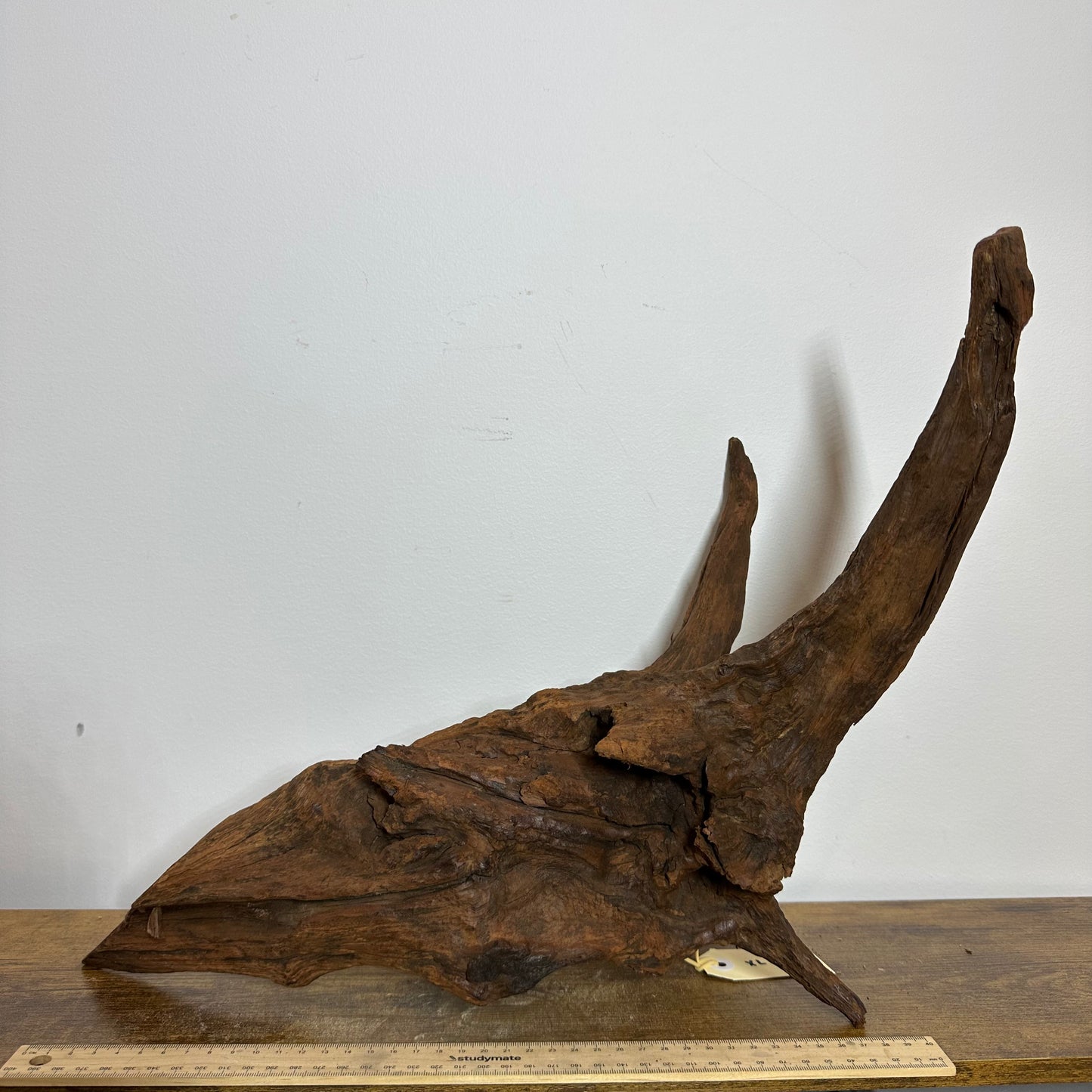 Driftwood (X Large)