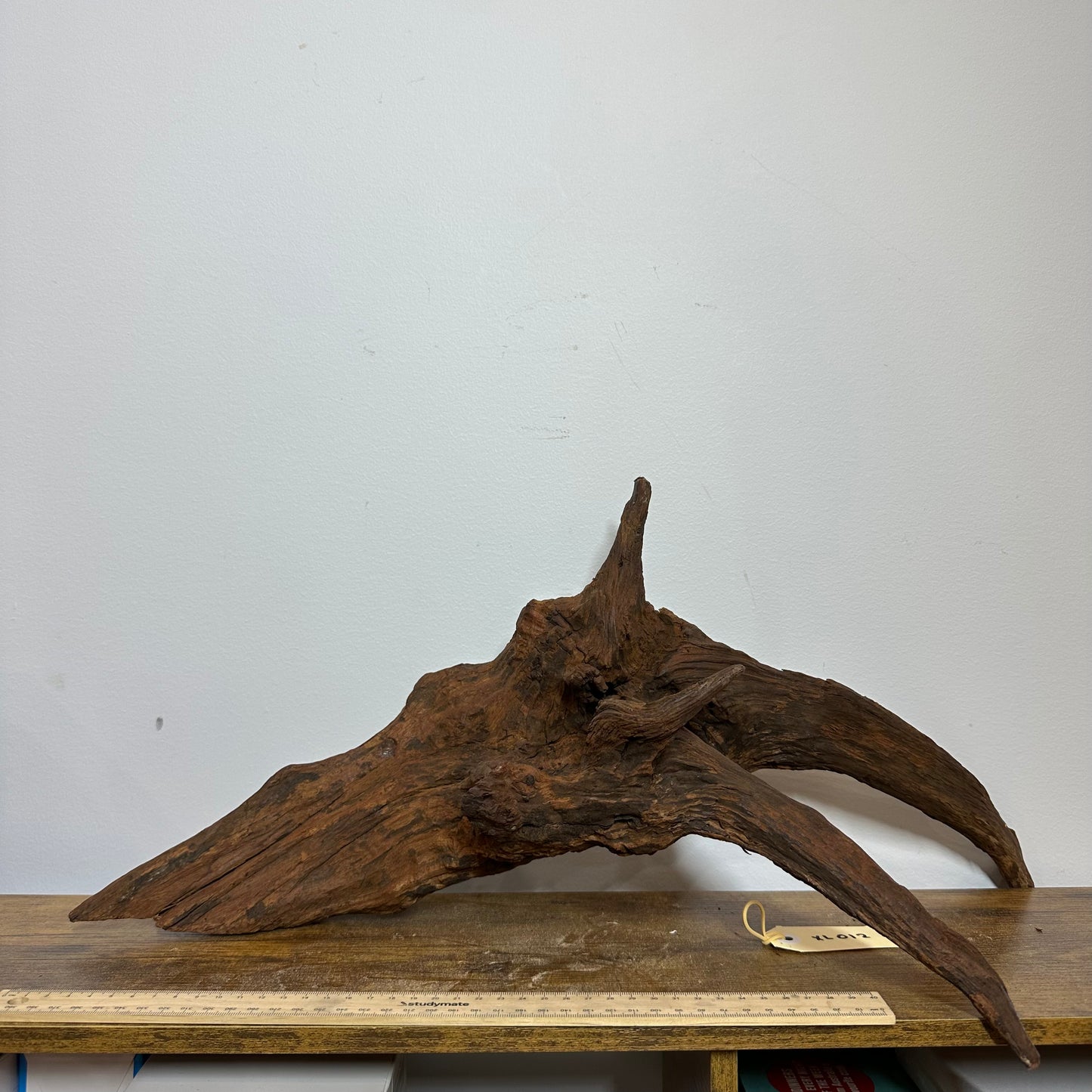 Driftwood (X Large)