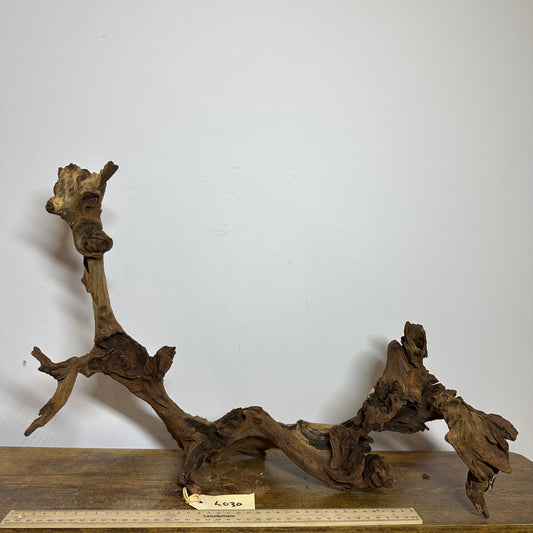 Driftwood (Large)