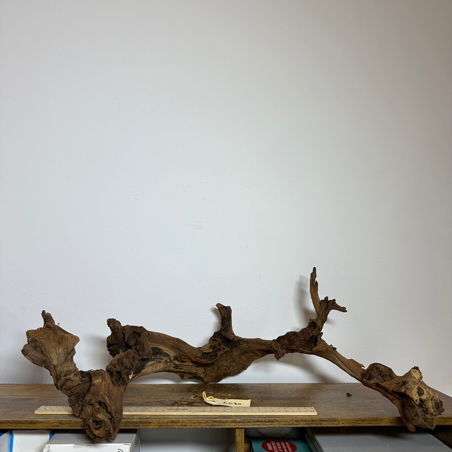 Driftwood (Large)