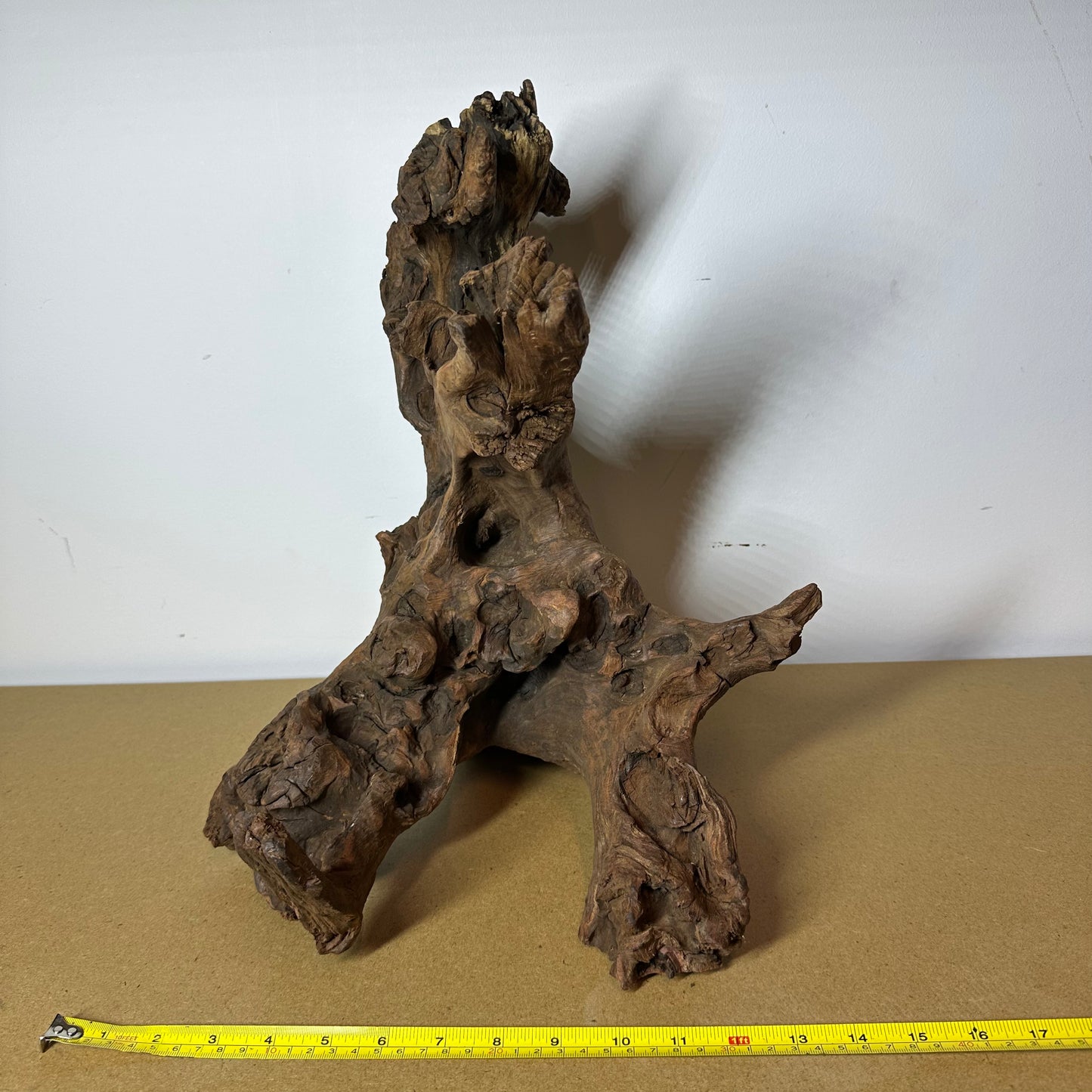 Driftwood (Oversized)