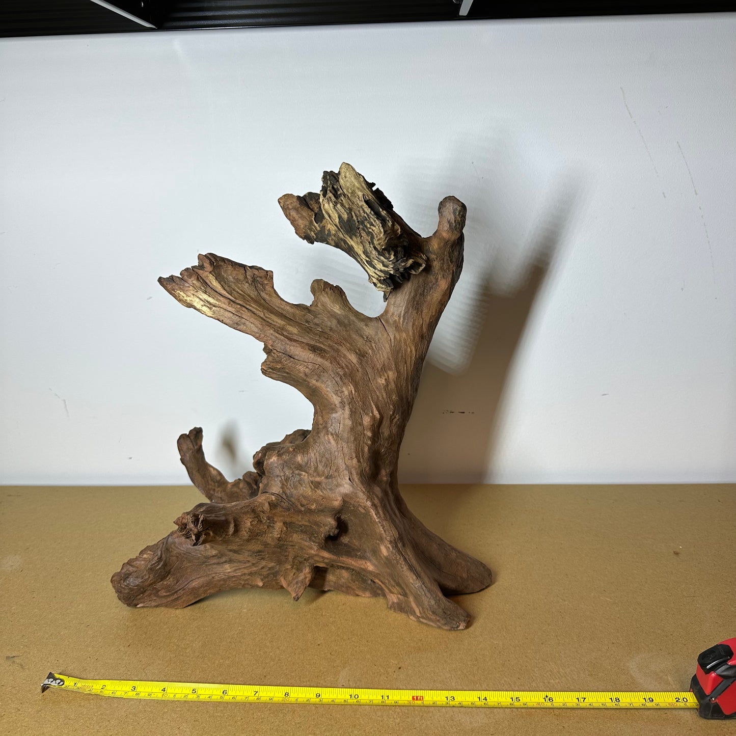Driftwood (Oversized)