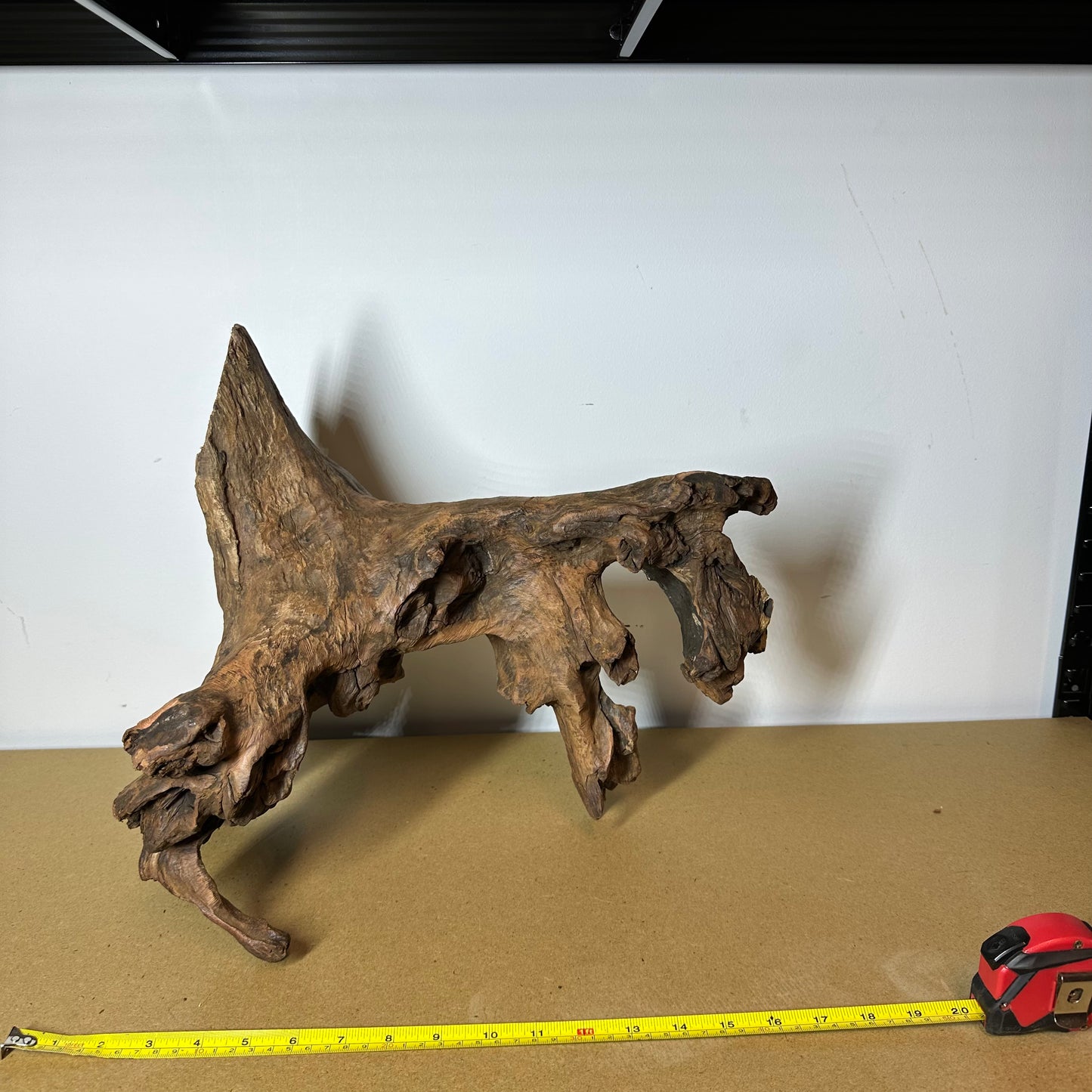 Driftwood (Oversized)