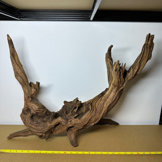 Driftwood (Oversized)
