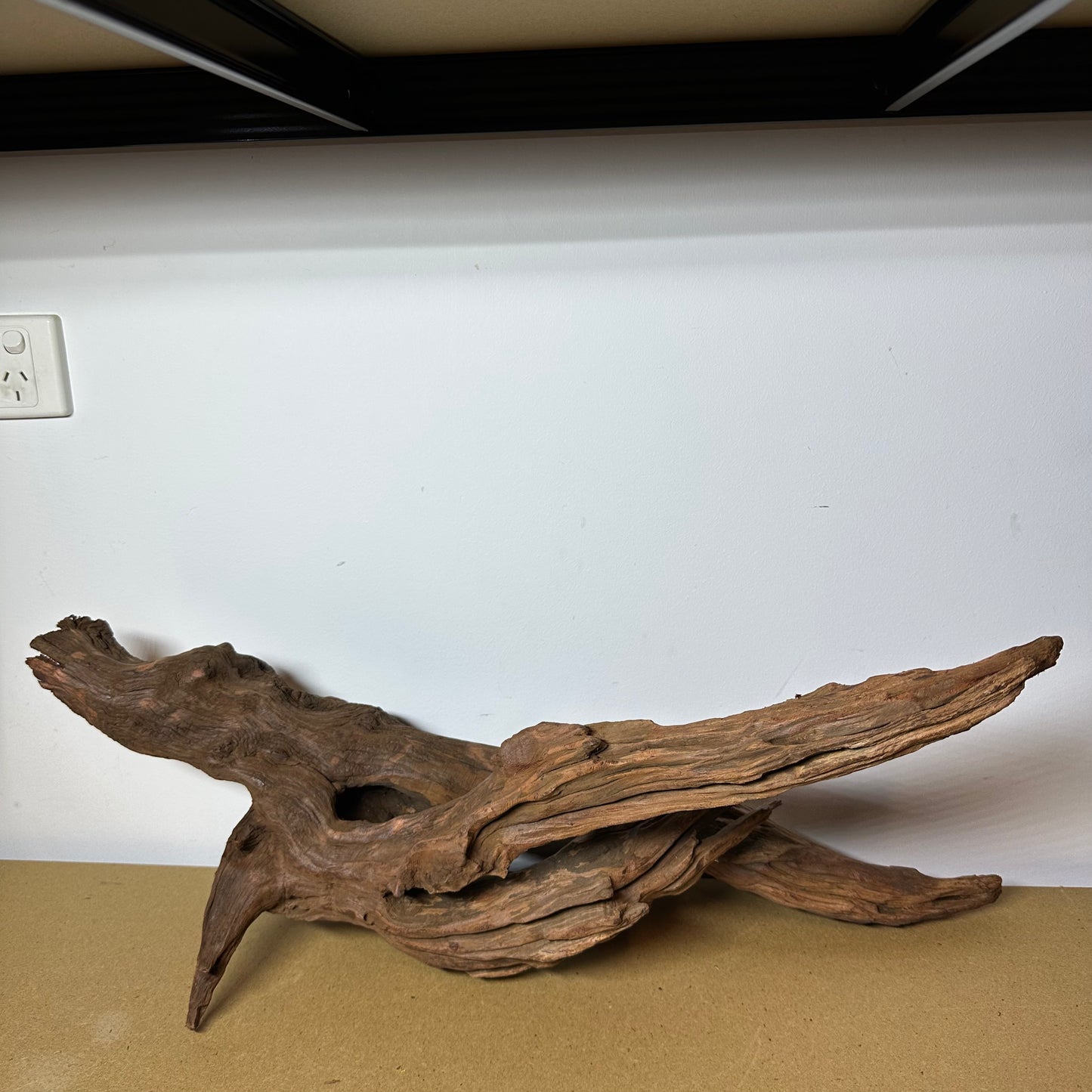 Driftwood (Oversized)
