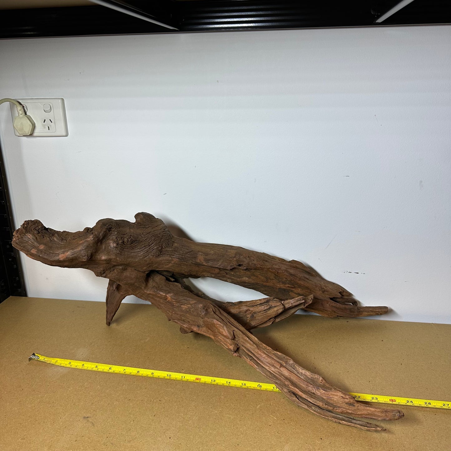Driftwood (Oversized)