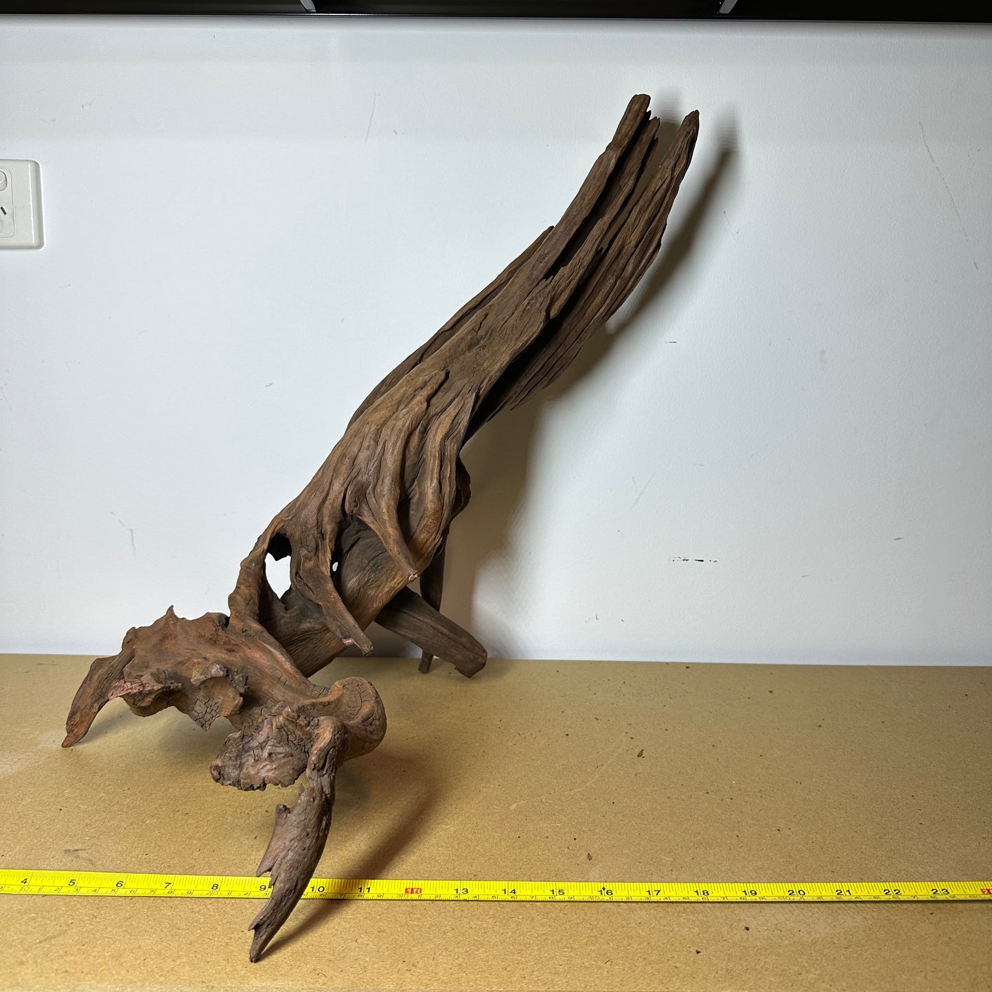 Driftwood (Oversized)