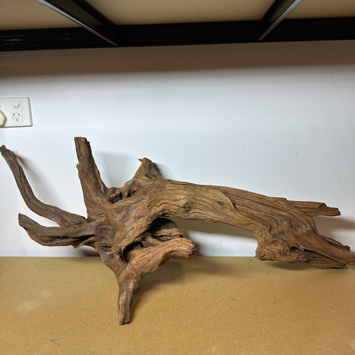 Driftwood (Oversized)