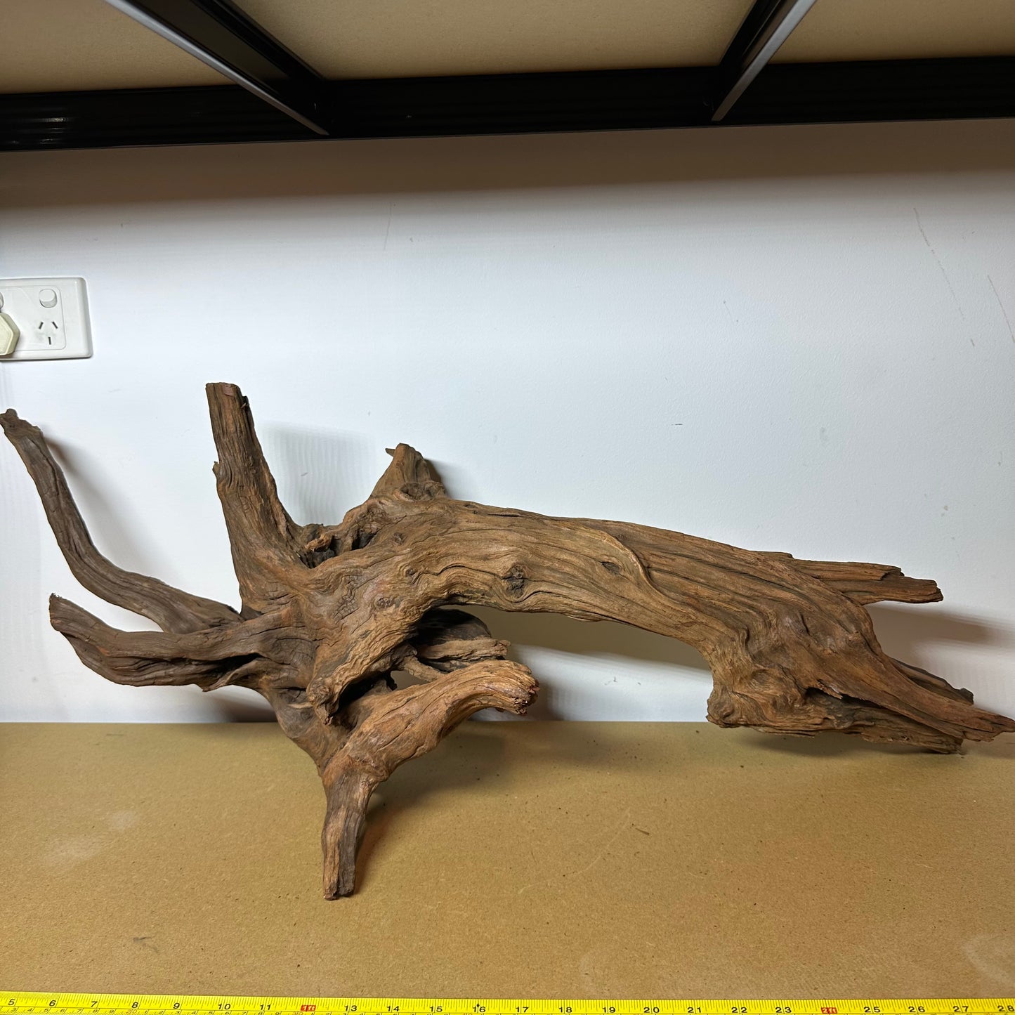 Driftwood (Oversized)