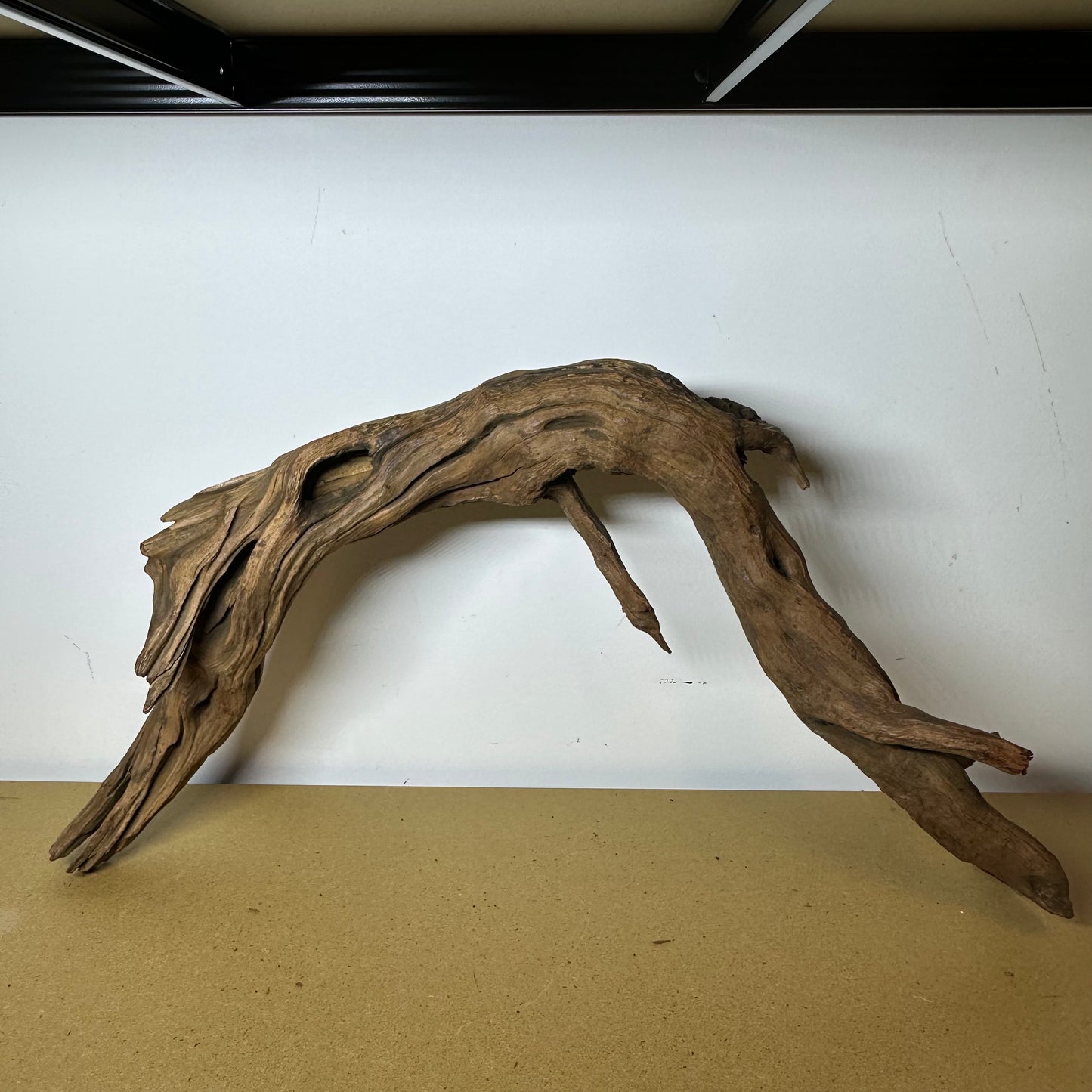 Driftwood (Oversized)