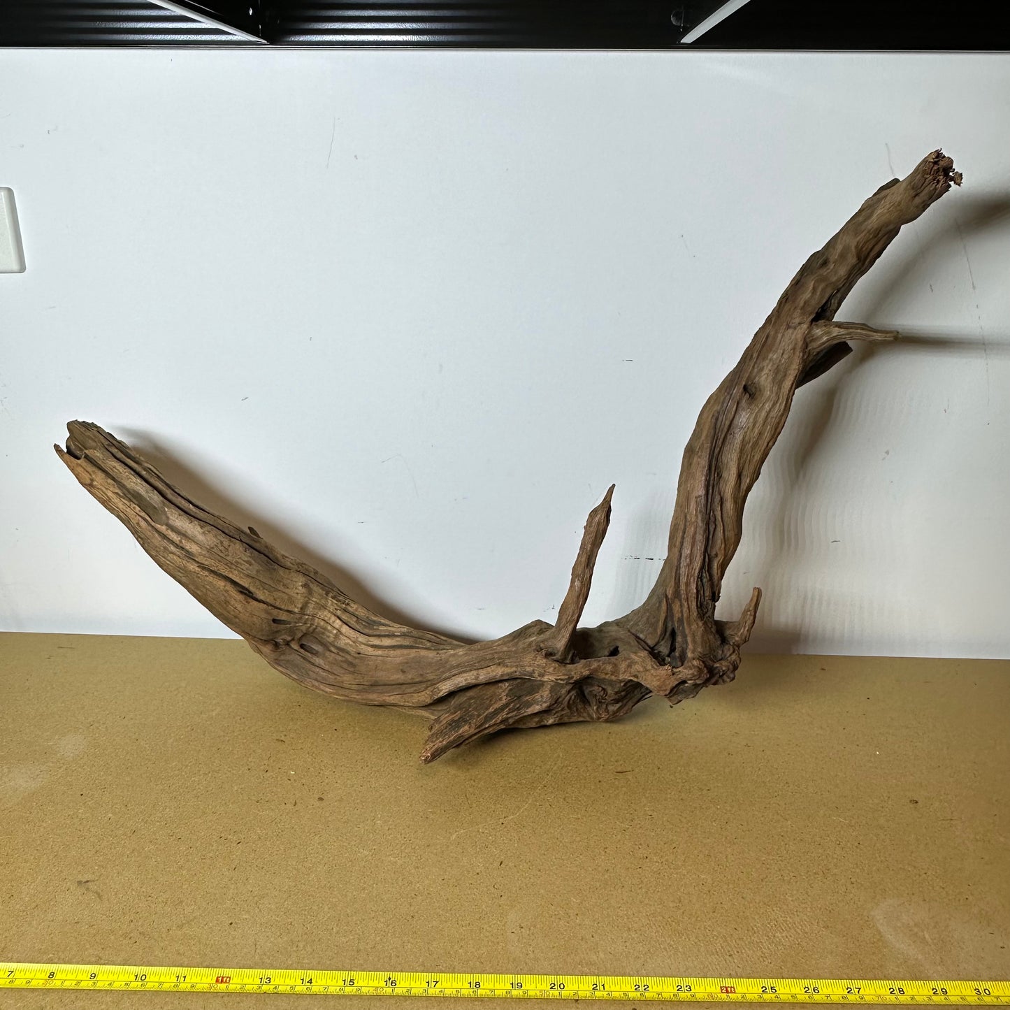 Driftwood (Oversized)