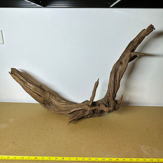 Driftwood (Oversized)
