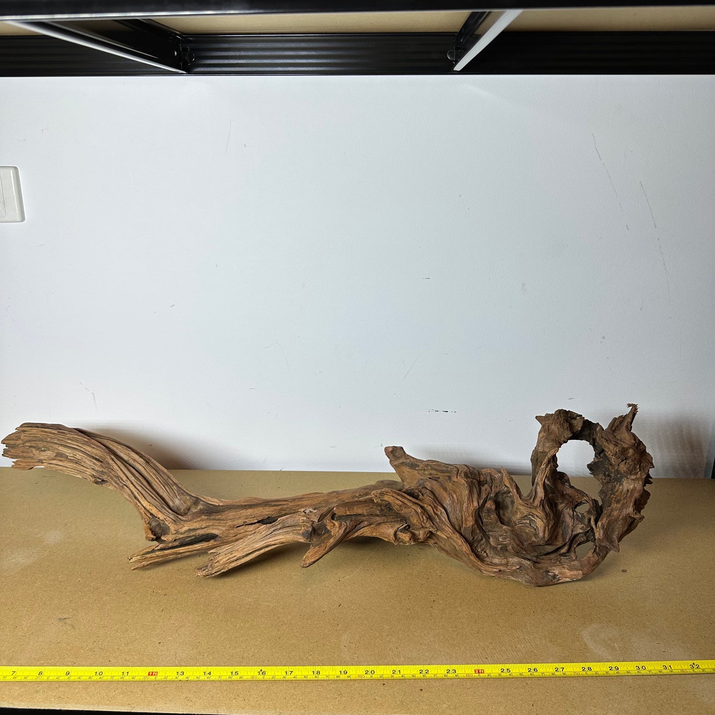 Driftwood (Oversized)