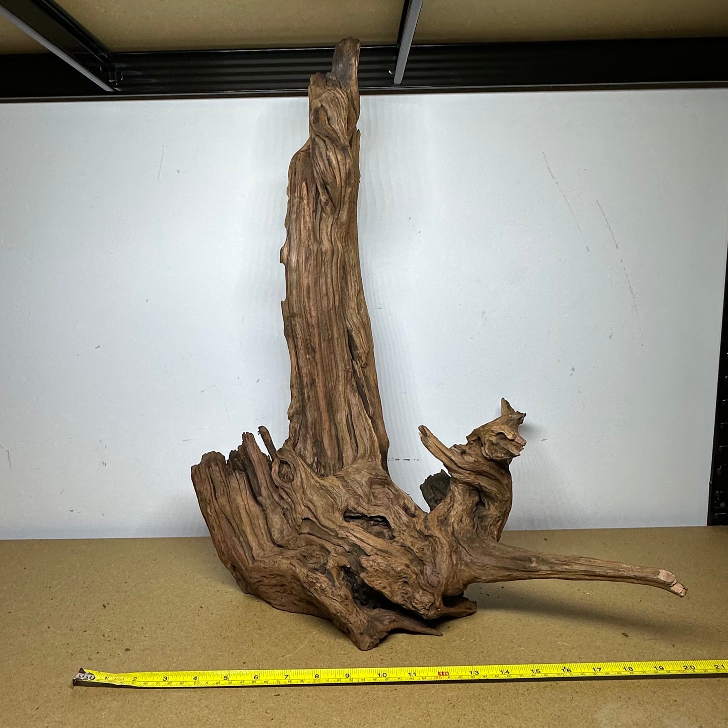 Driftwood (Oversized)