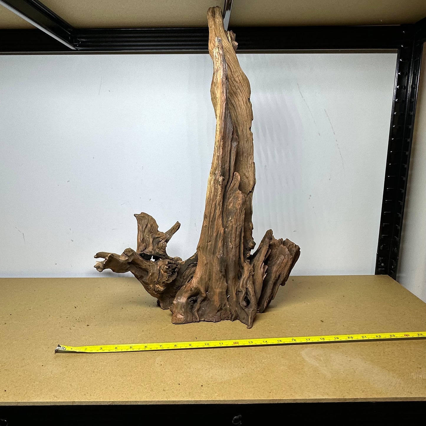 Driftwood (Oversized)