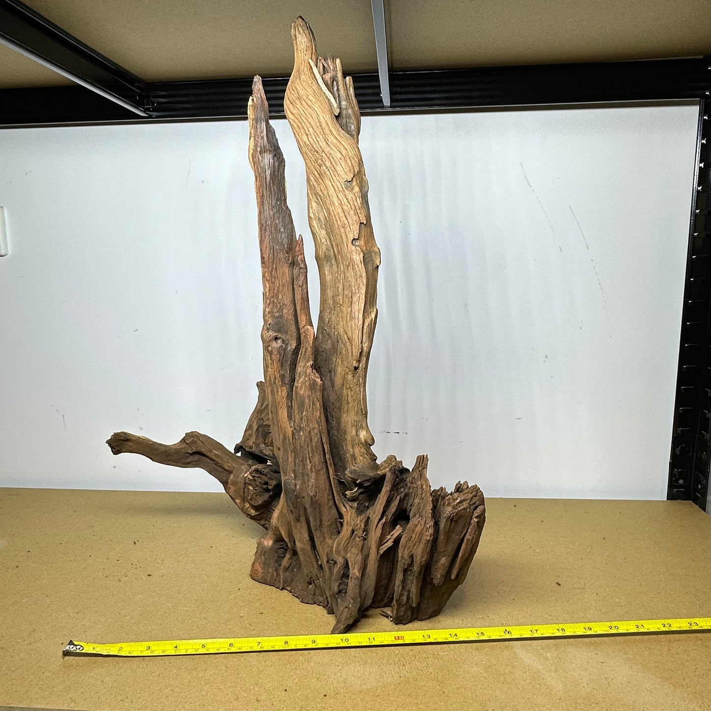 Driftwood (Oversized)