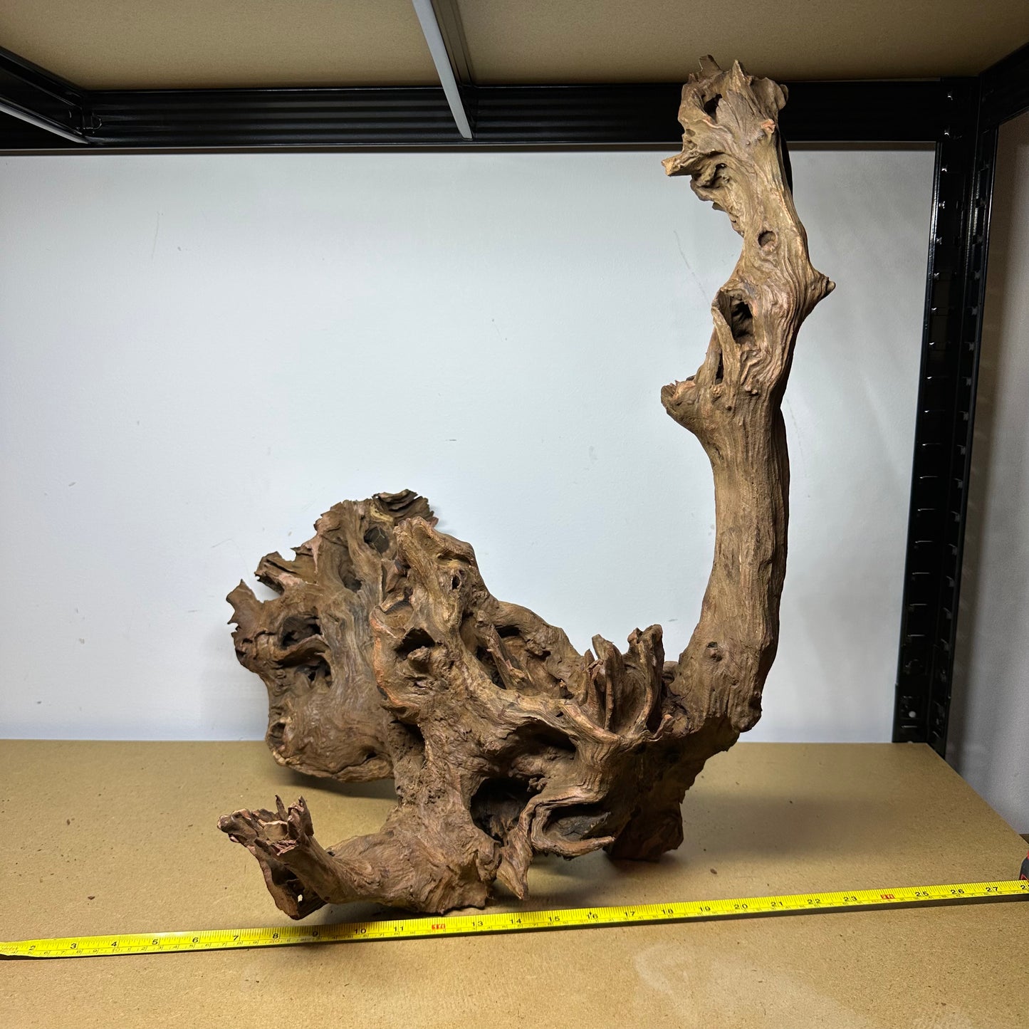 Driftwood (Oversized)
