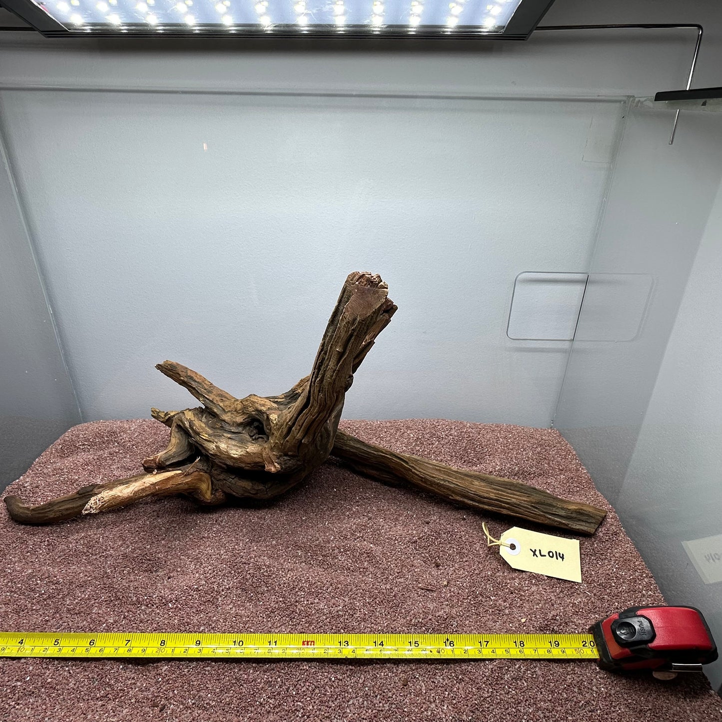 Driftwood (X Large)