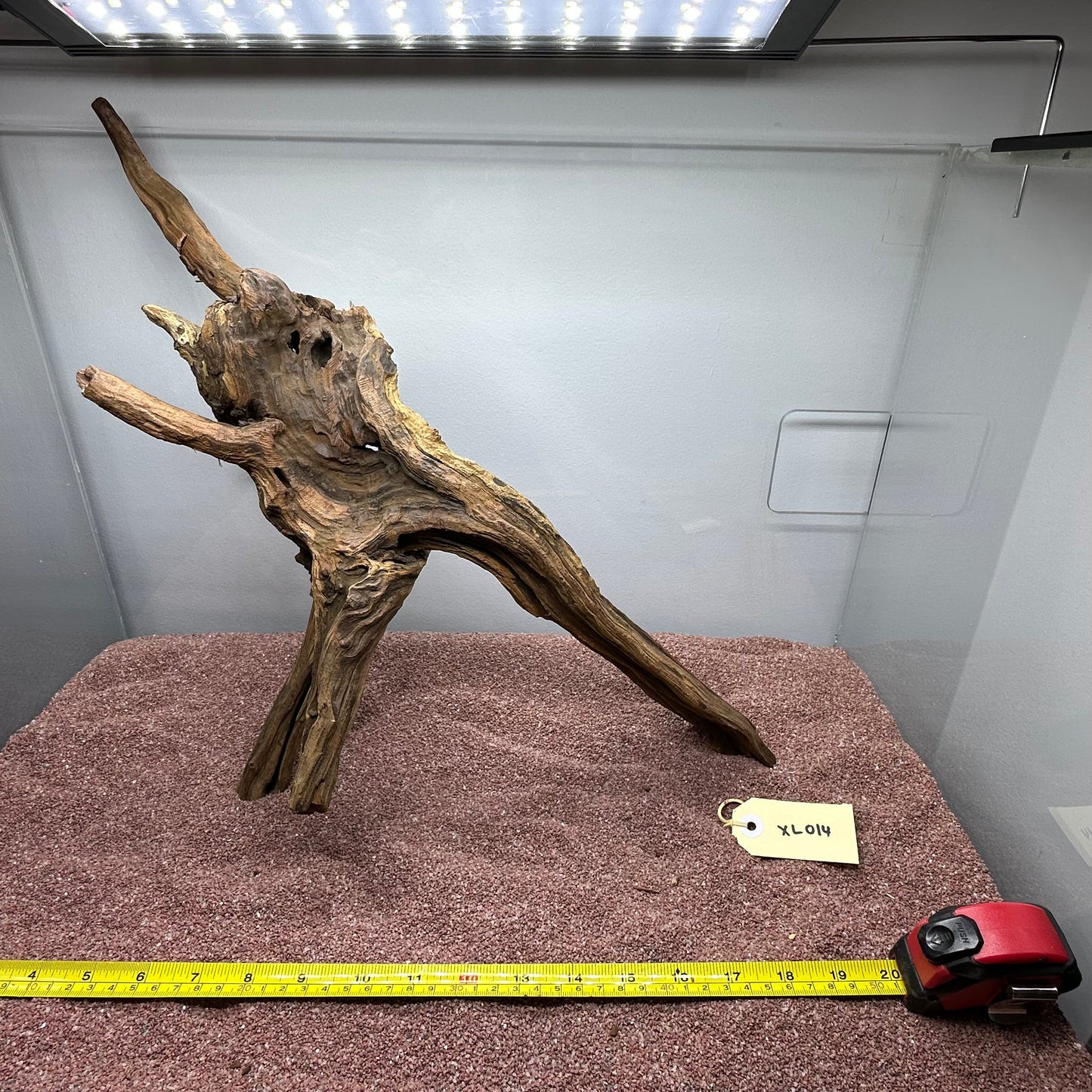 Driftwood (X Large)