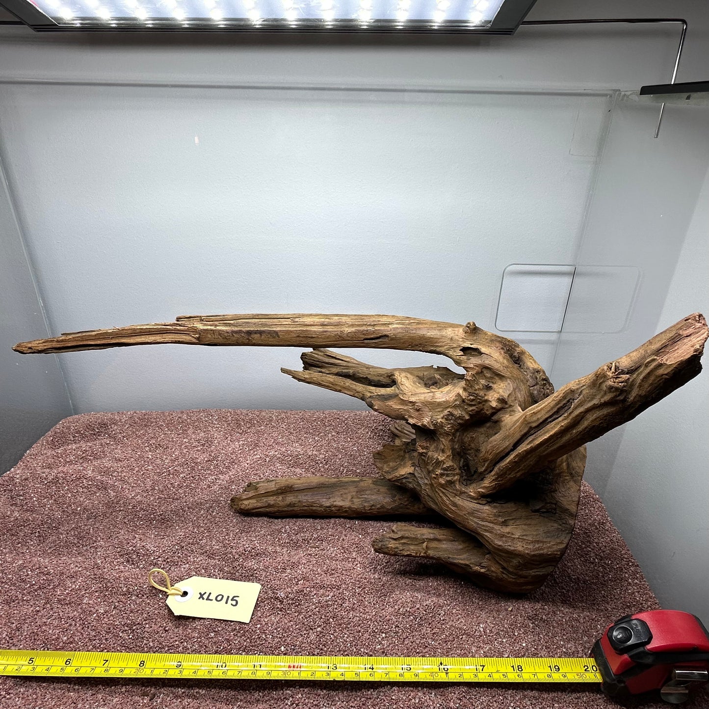 Driftwood (X Large)