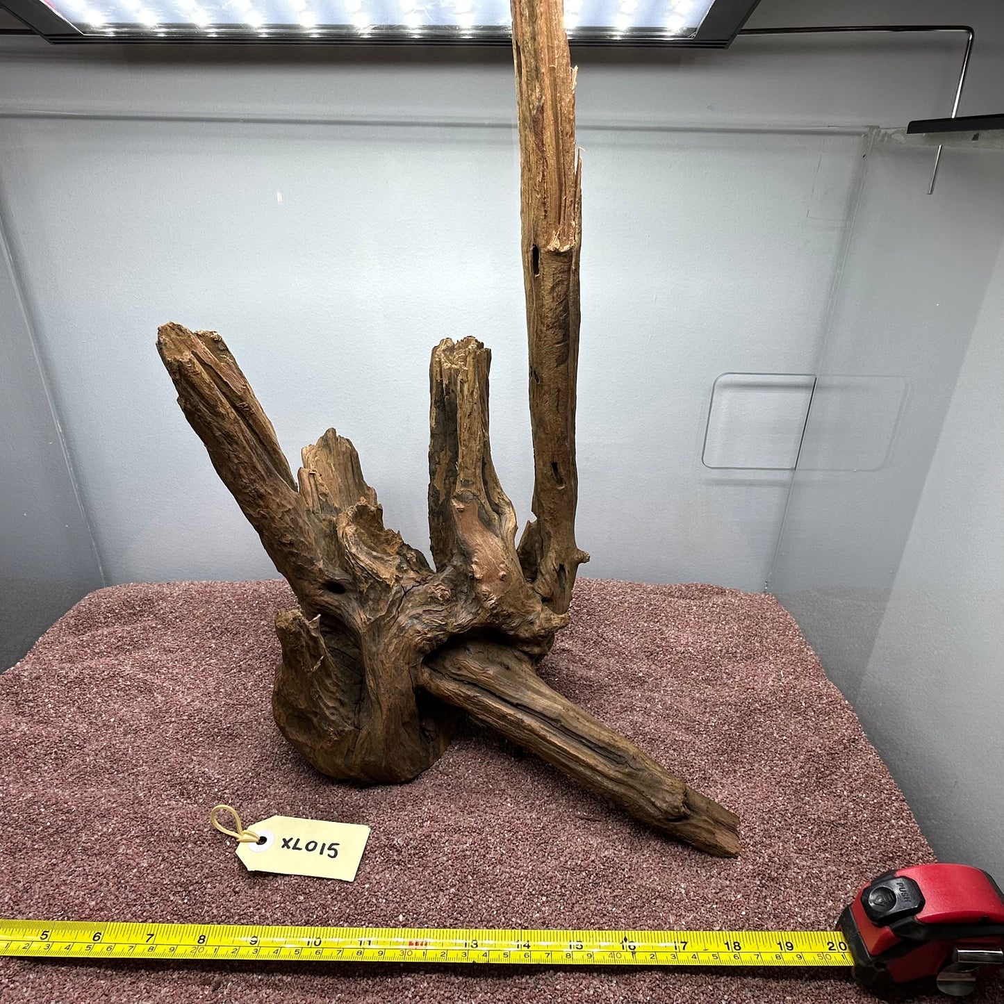 Driftwood (X Large)