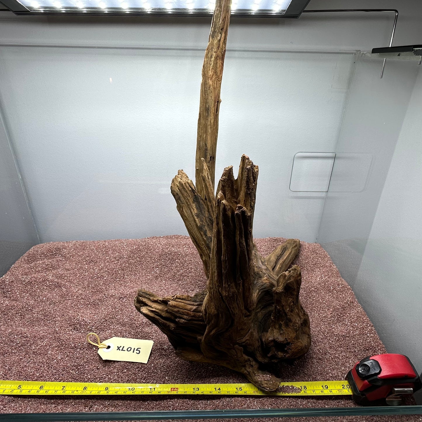 Driftwood (X Large)