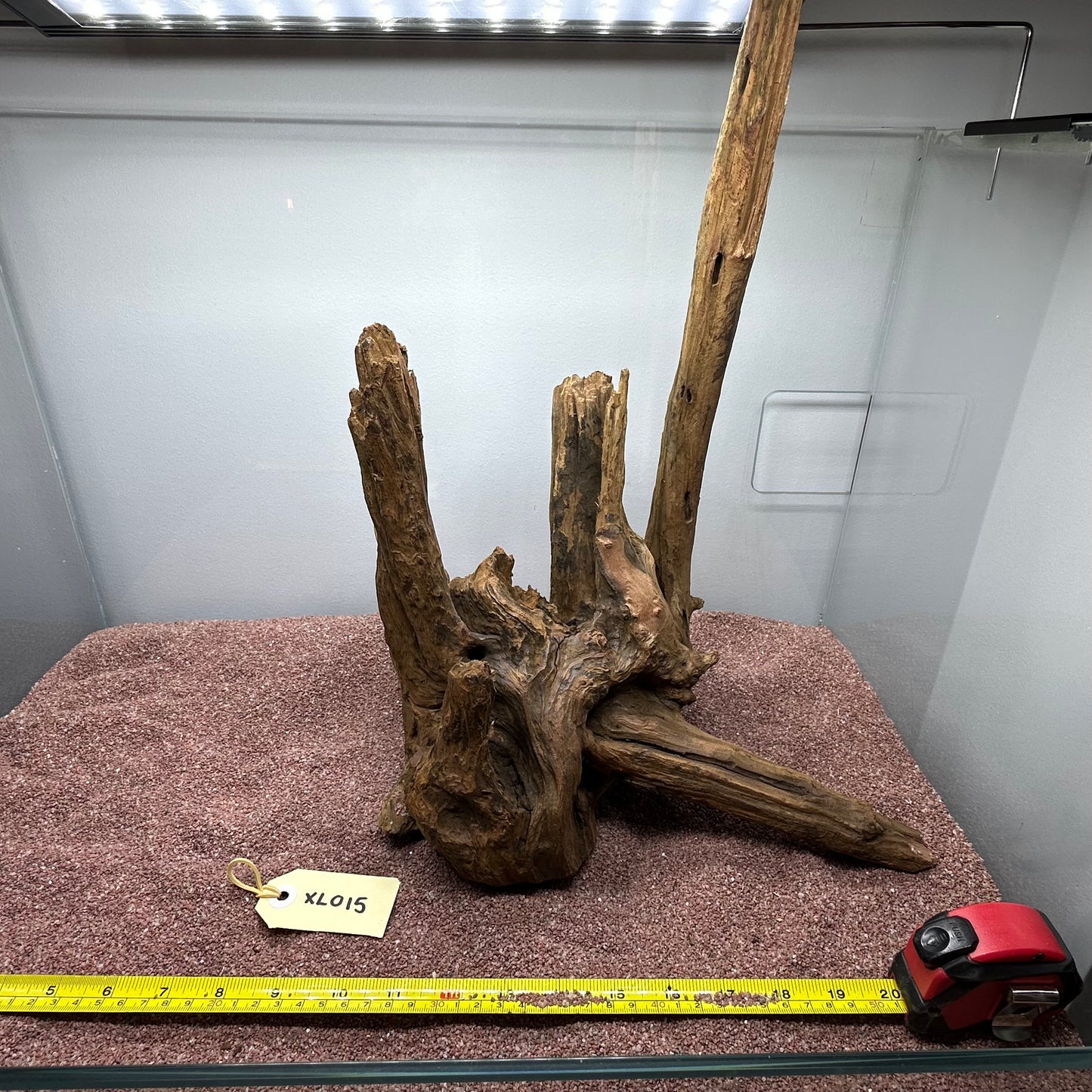 Driftwood (X Large)