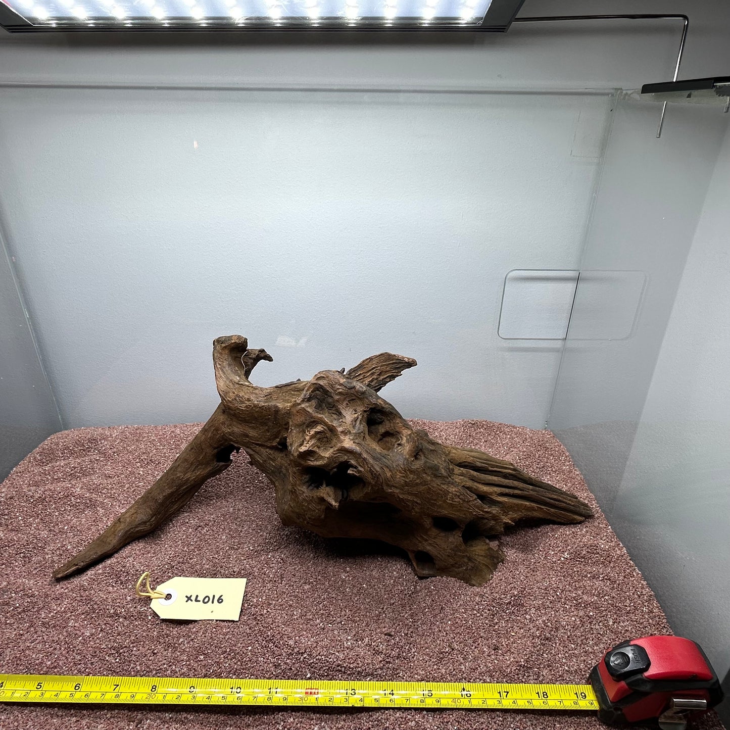 Driftwood (X Large)