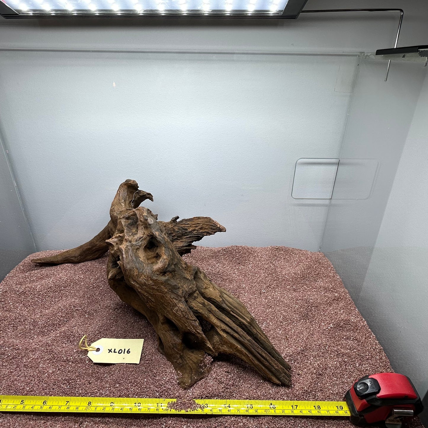 Driftwood (X Large)