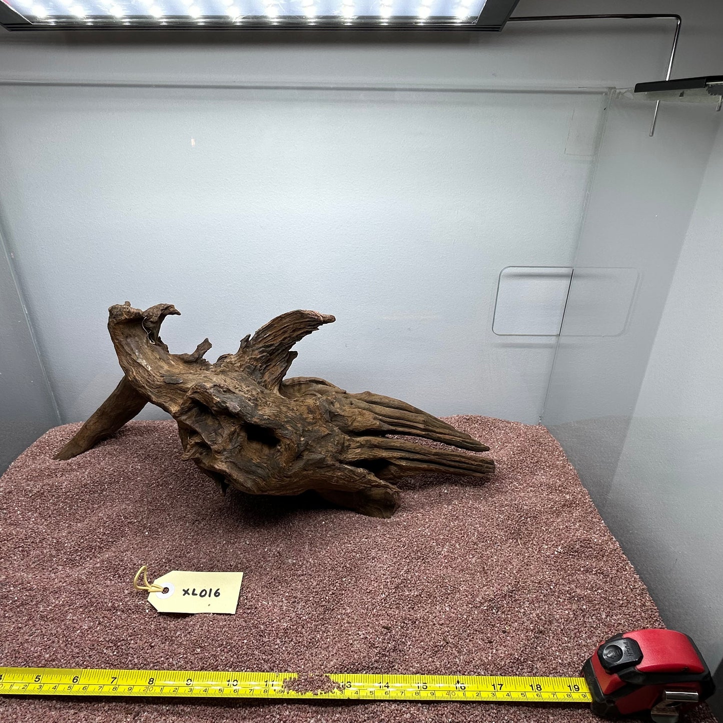 Driftwood (X Large)