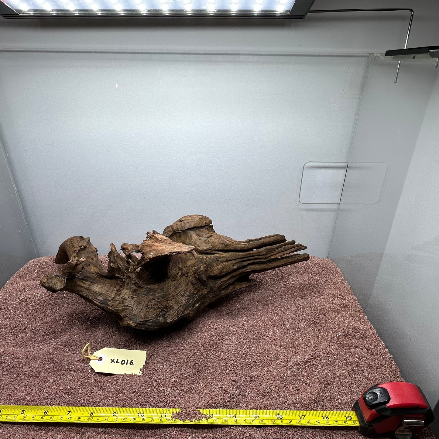 Driftwood (X Large)