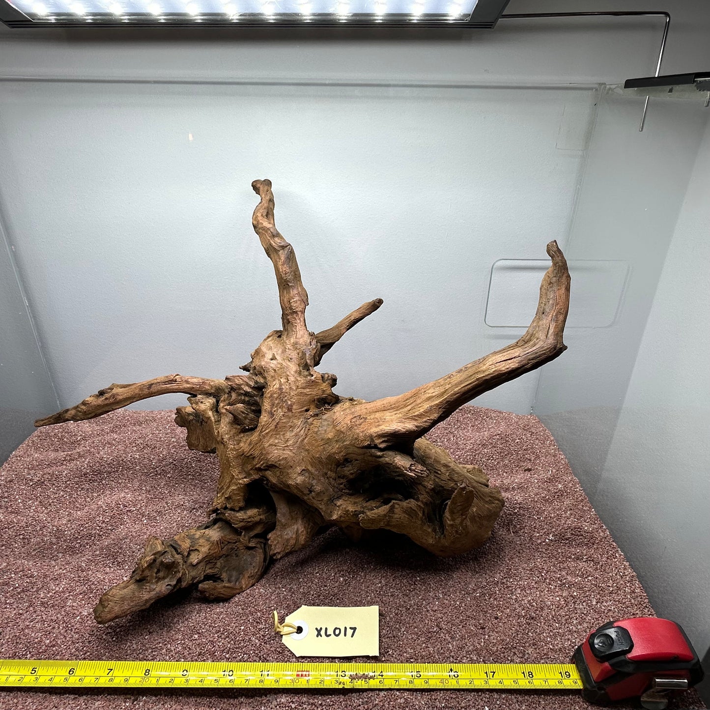 Driftwood (X Large)