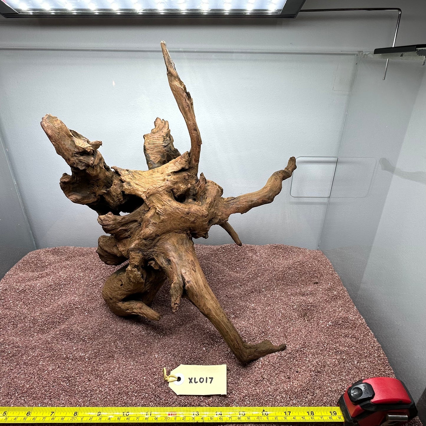 Driftwood (X Large)