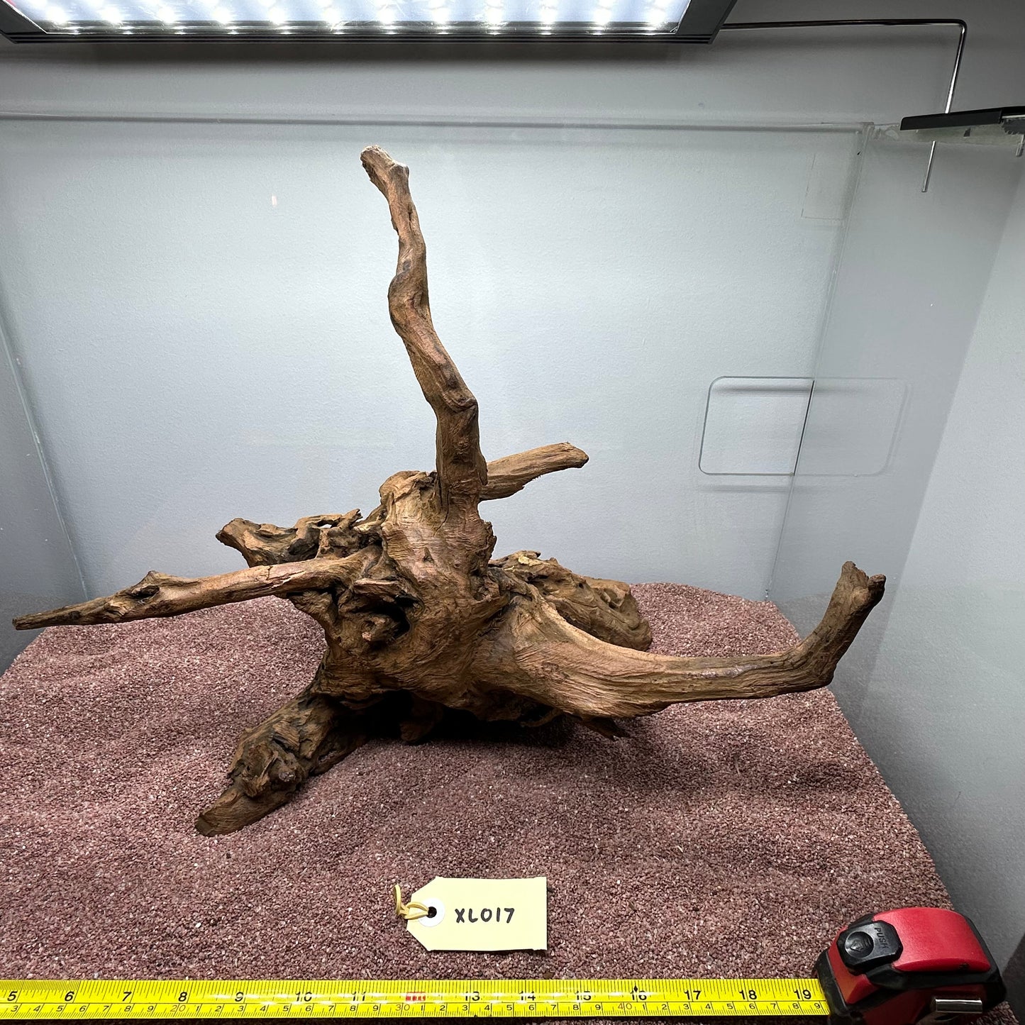 Driftwood (X Large)