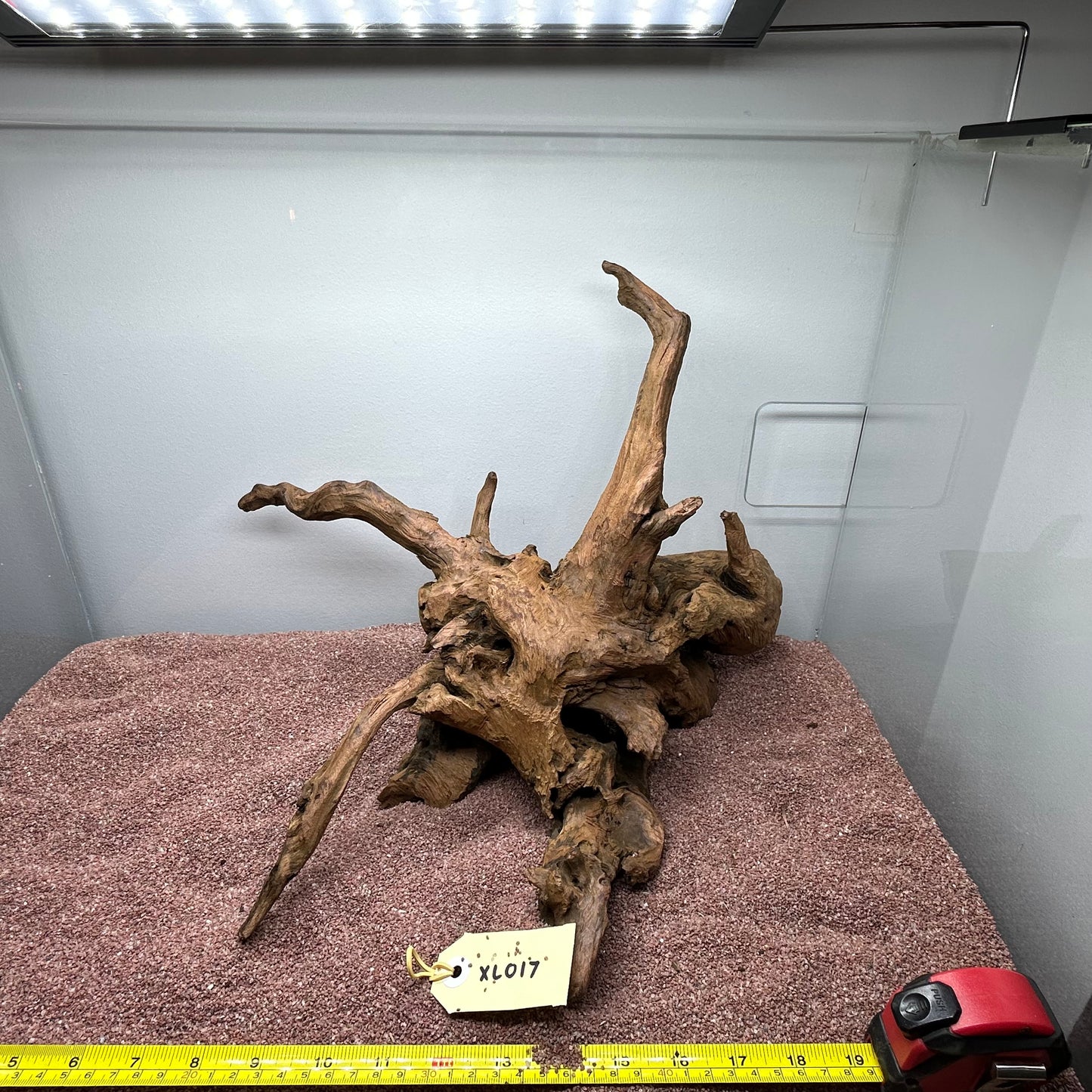 Driftwood (X Large)