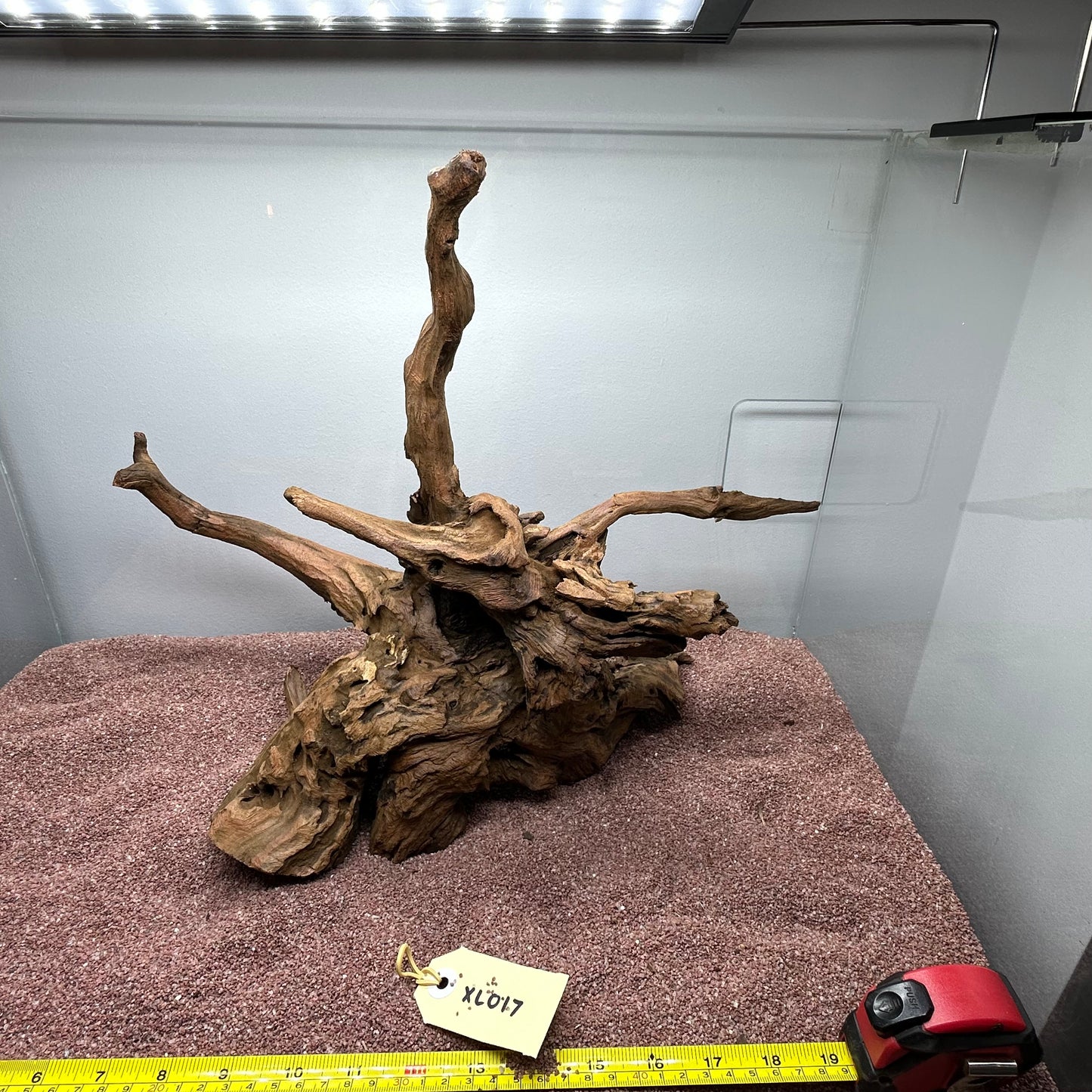 Driftwood (X Large)