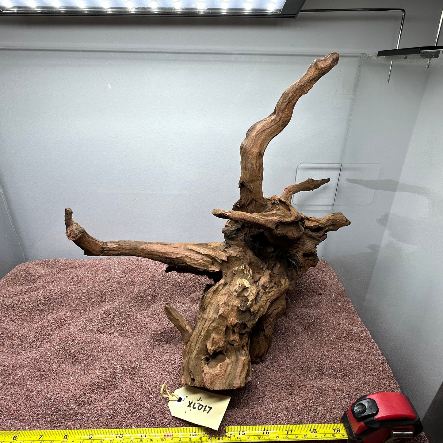 Driftwood (X Large)