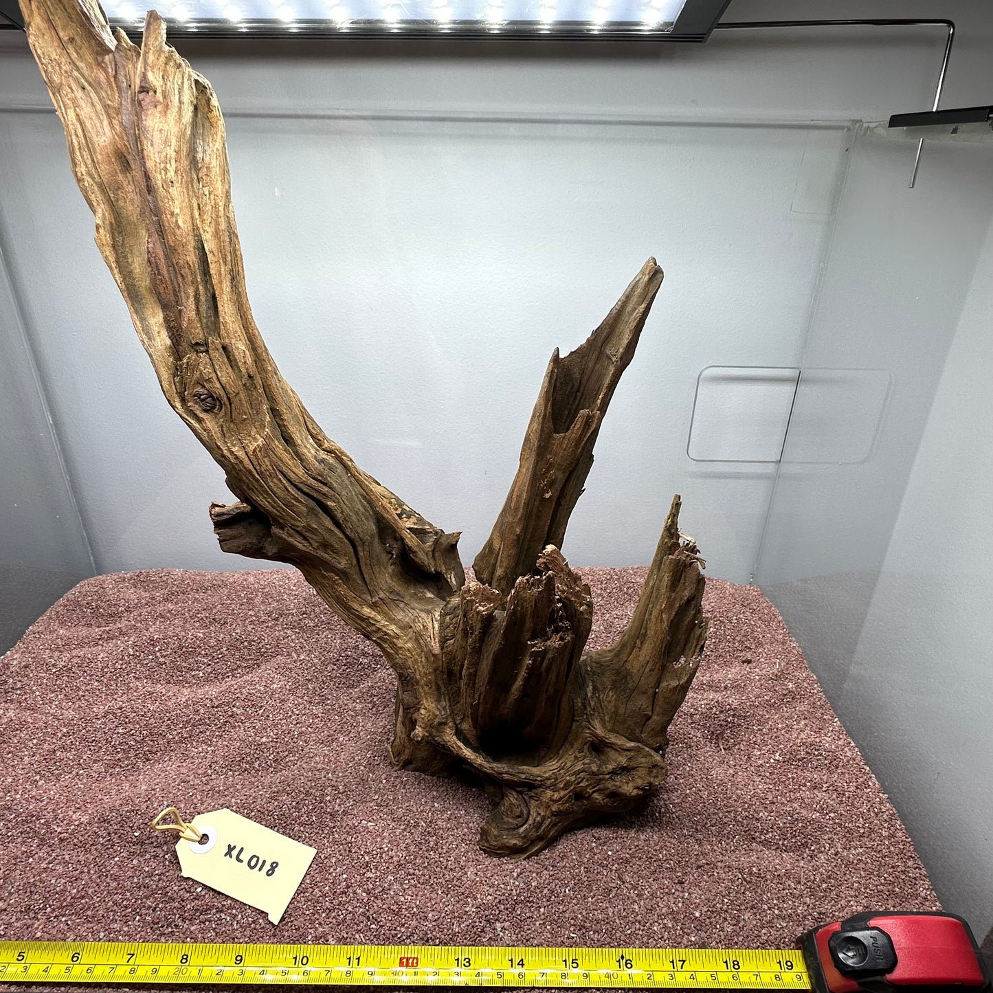 Driftwood (X Large)