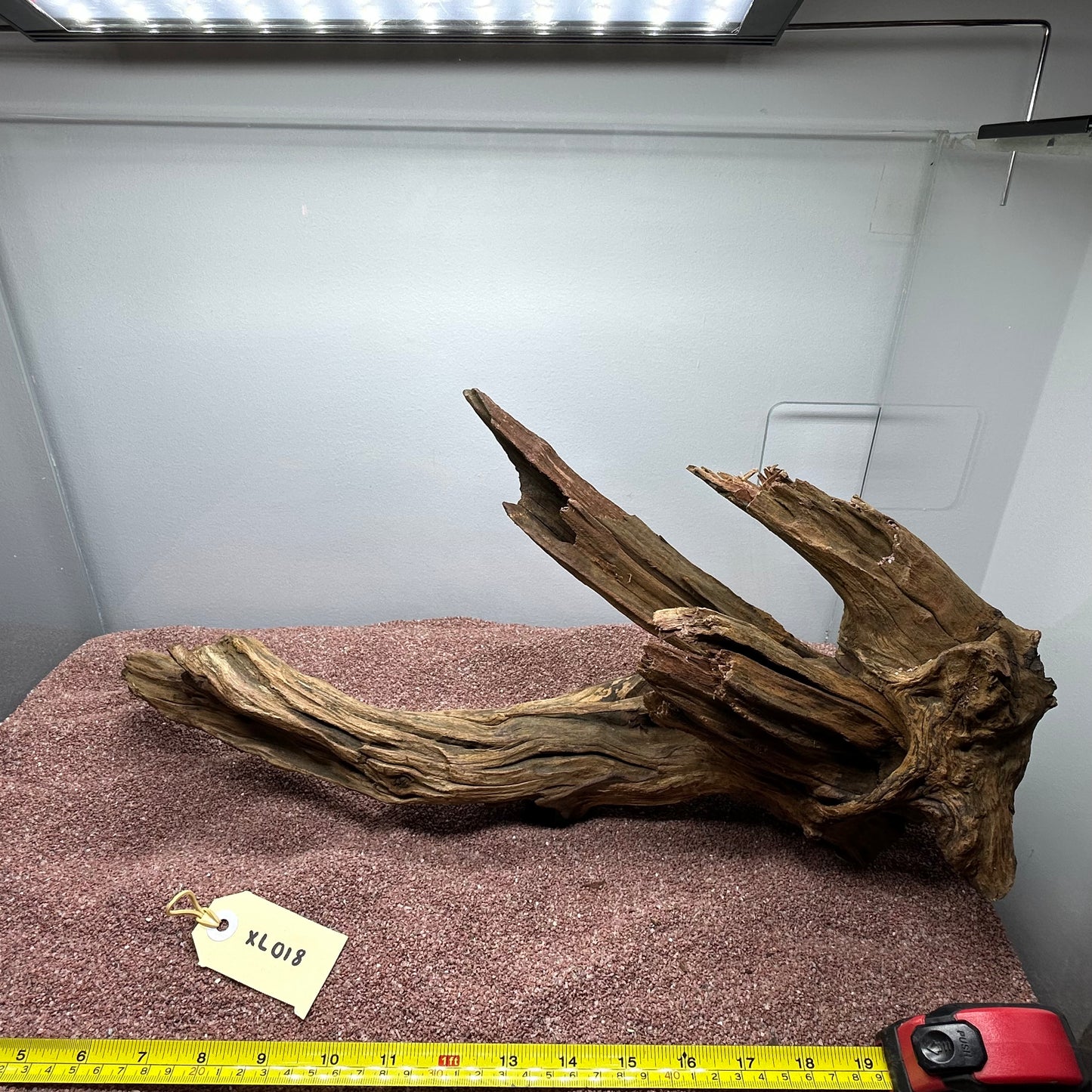 Driftwood (X Large)