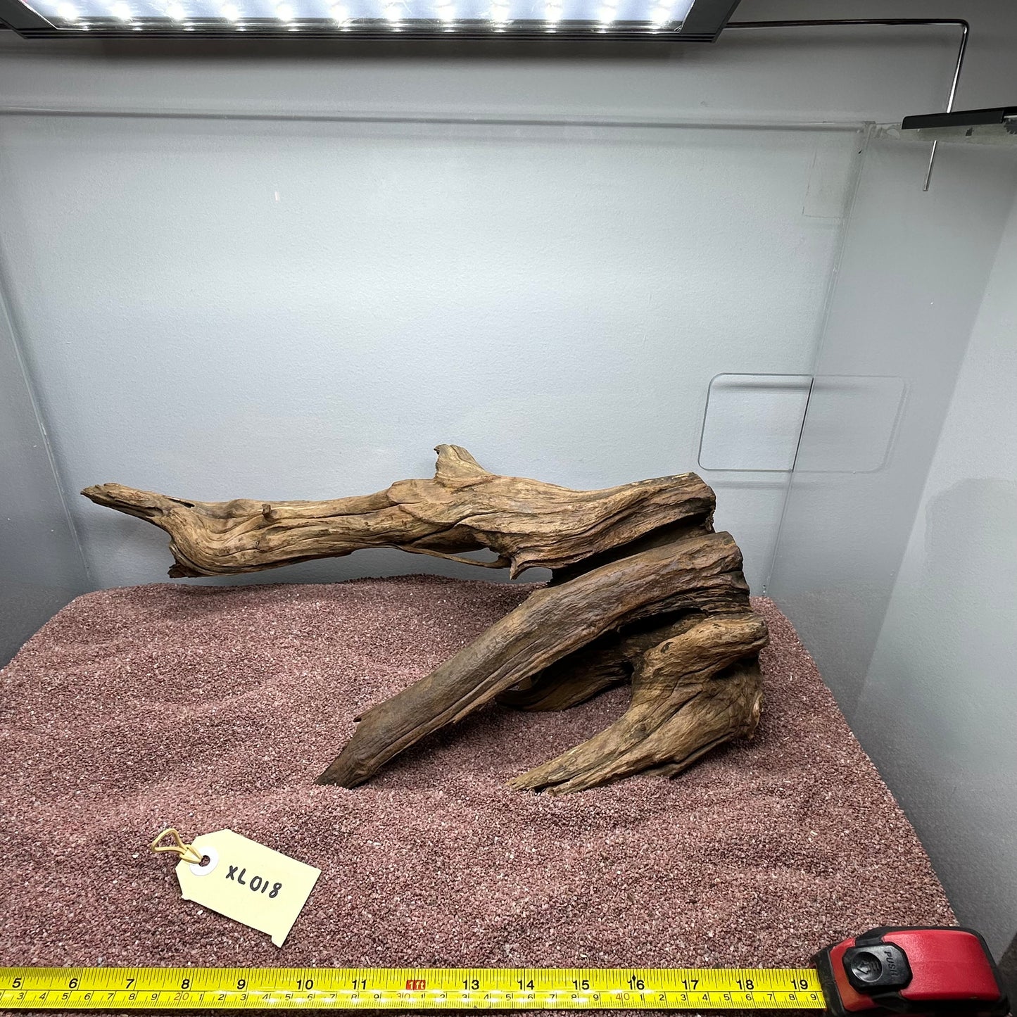 Driftwood (X Large)