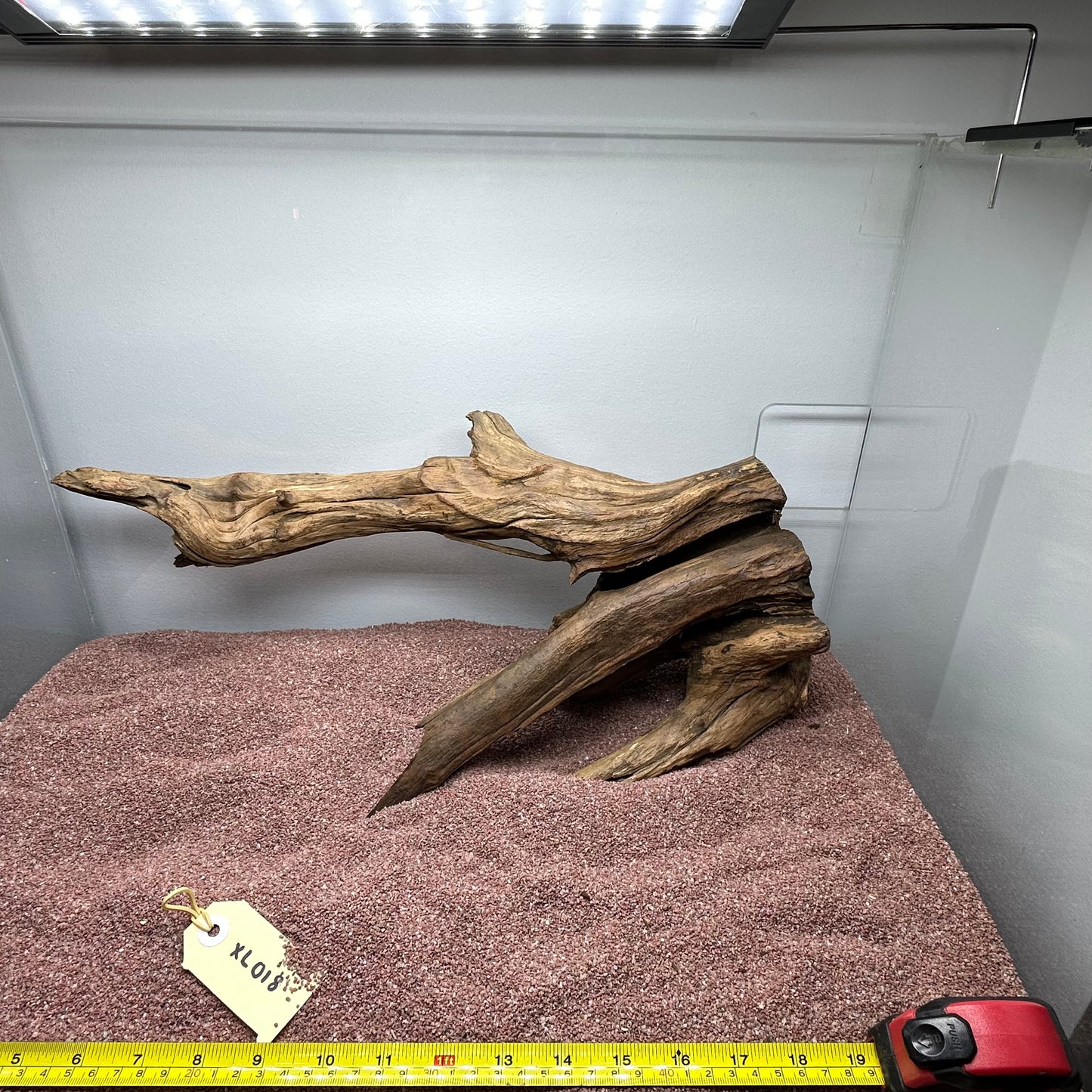 Driftwood (X Large)