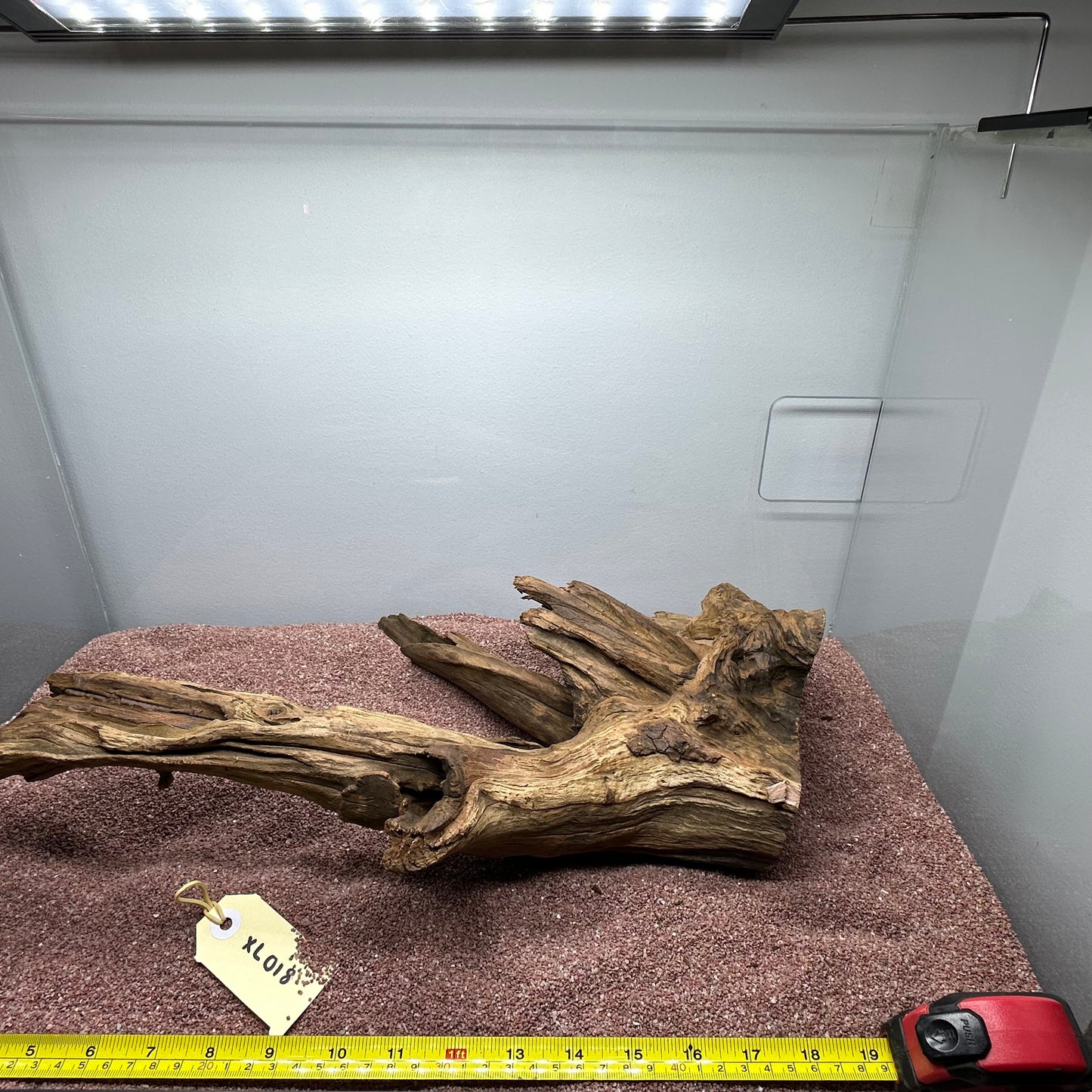 Driftwood (X Large)