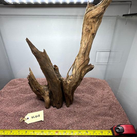 Driftwood (X Large)