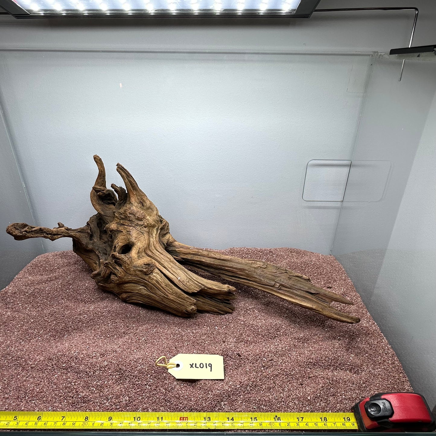 Driftwood (X Large)